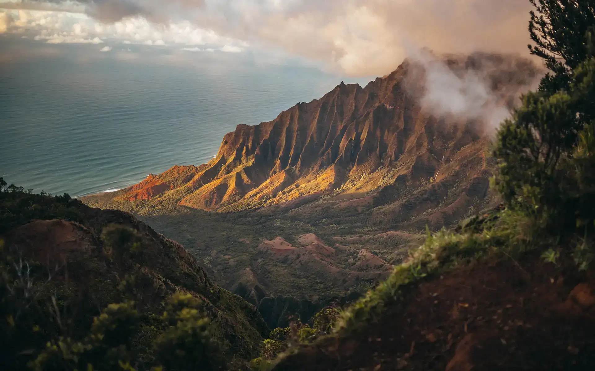 Home Renovations by Sally Ahmed